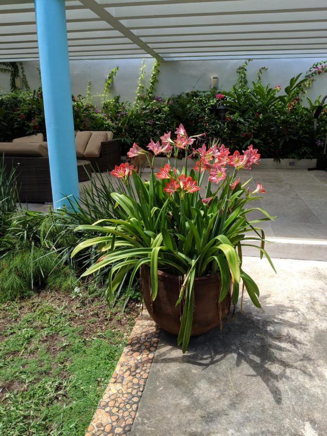 Casa Xcanatun Mérida Kültér fotó